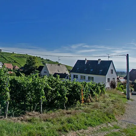 Gite Les deux belettes Riquewihr Extérieur photo