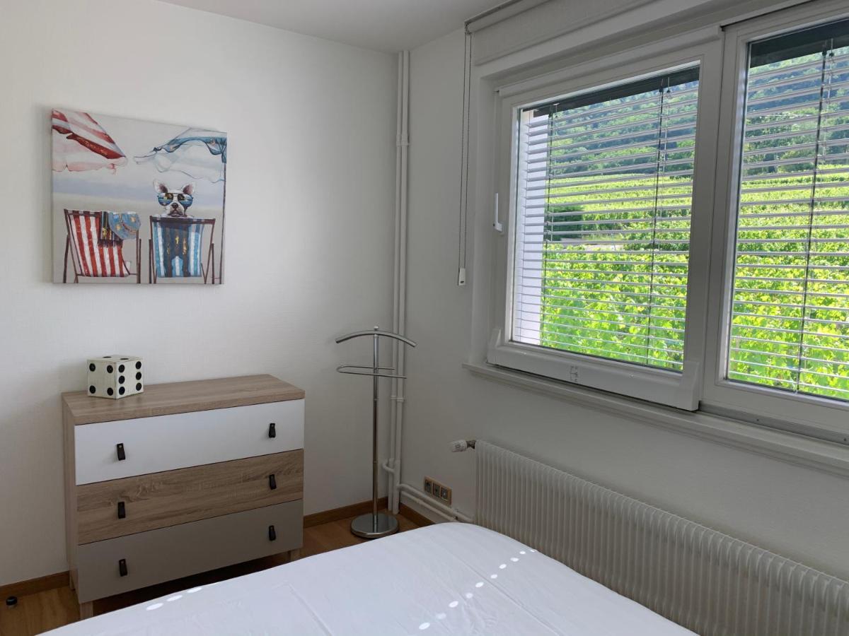 Les Deux Belettes Appartement Riquewihr