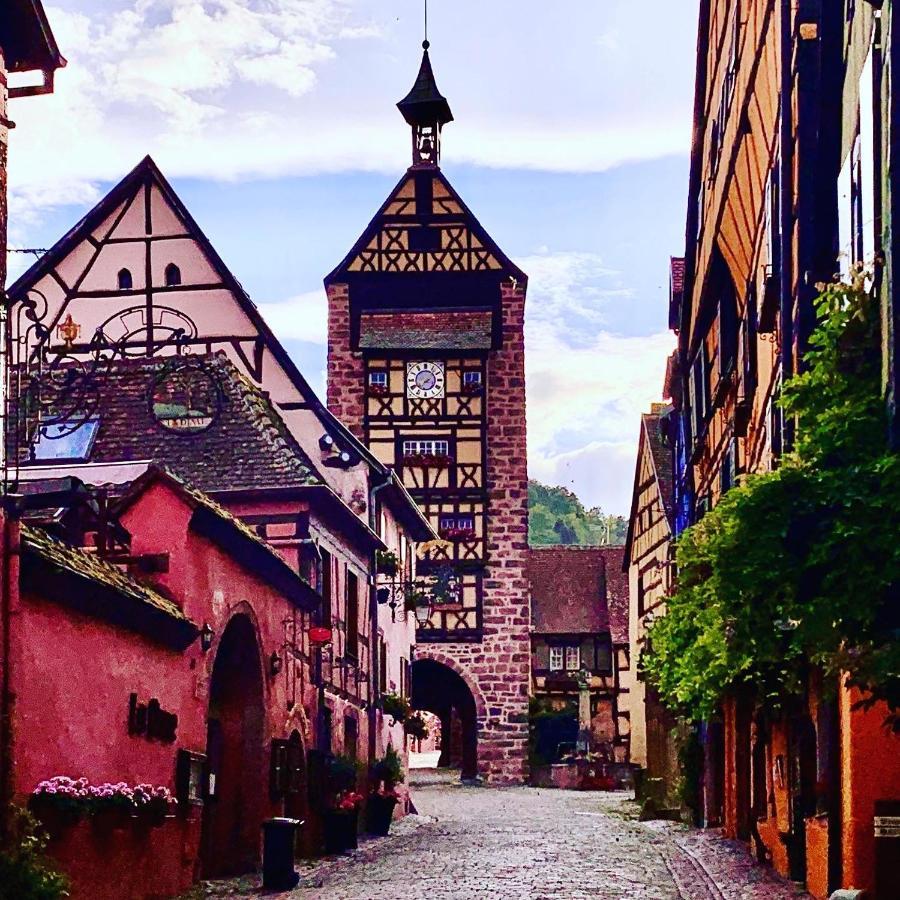 Les Deux Belettes Appartement Riquewihr