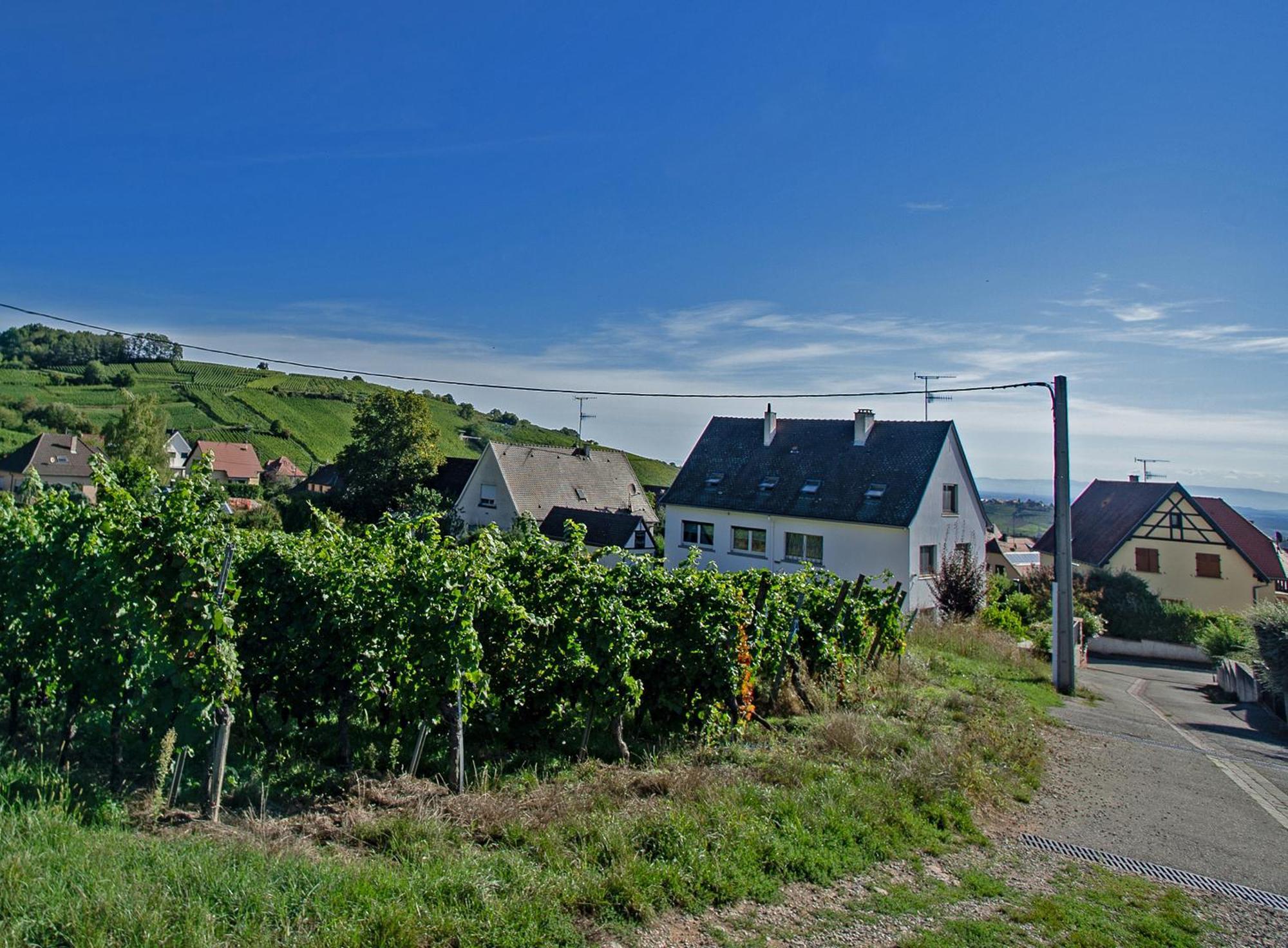 Les Deux Belettes Appartement *